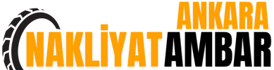 Bursa Balya Ambar